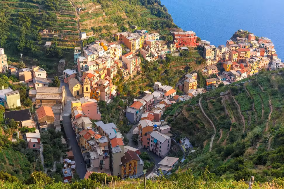 Manarola and its vine terraces above the sea in the Cinque Terre