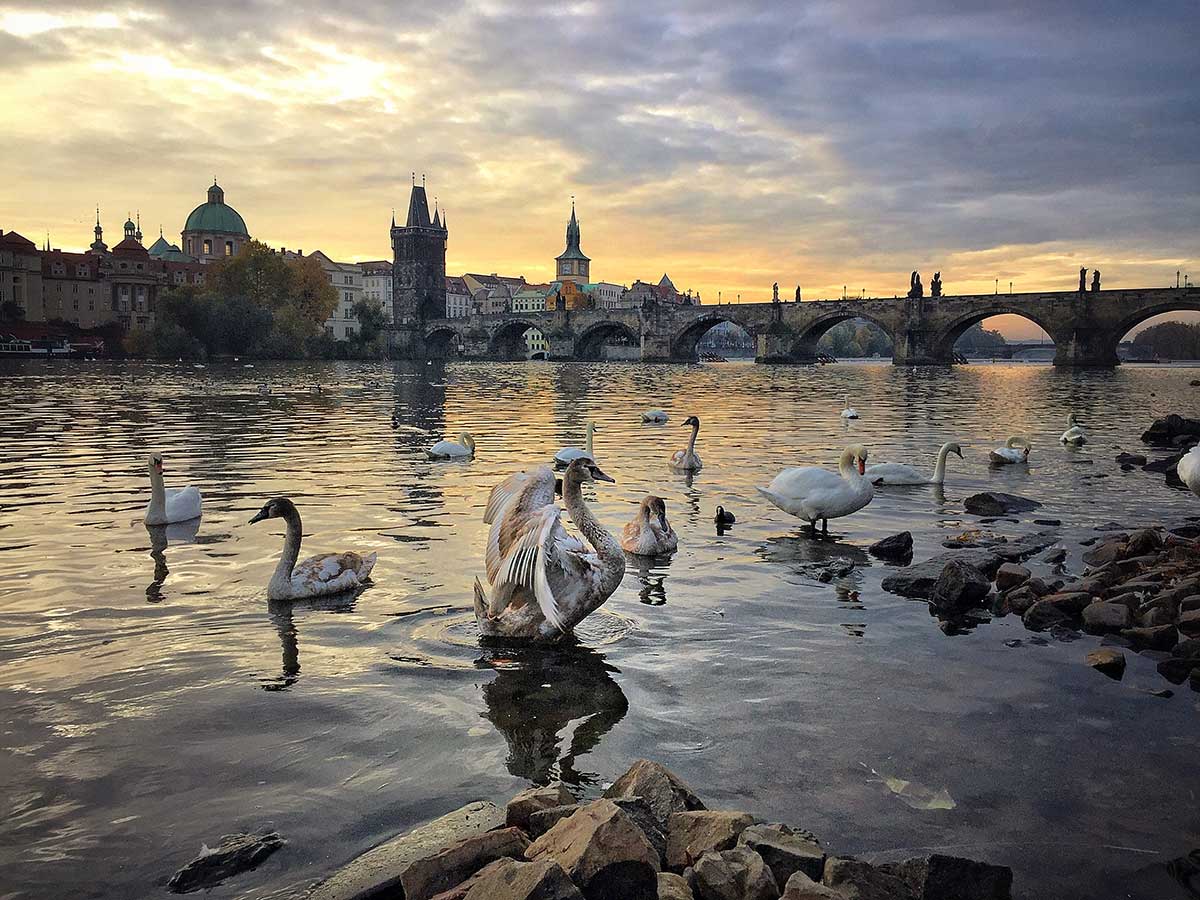 Prague offers diverse travel experiences catering to every budget, from luxurious stays near Prague Castle to affordable hostels in the Old Town, ensuring all visitors can enjoy its historical landmarks, cultural attractions, and vibrant atmosphere.