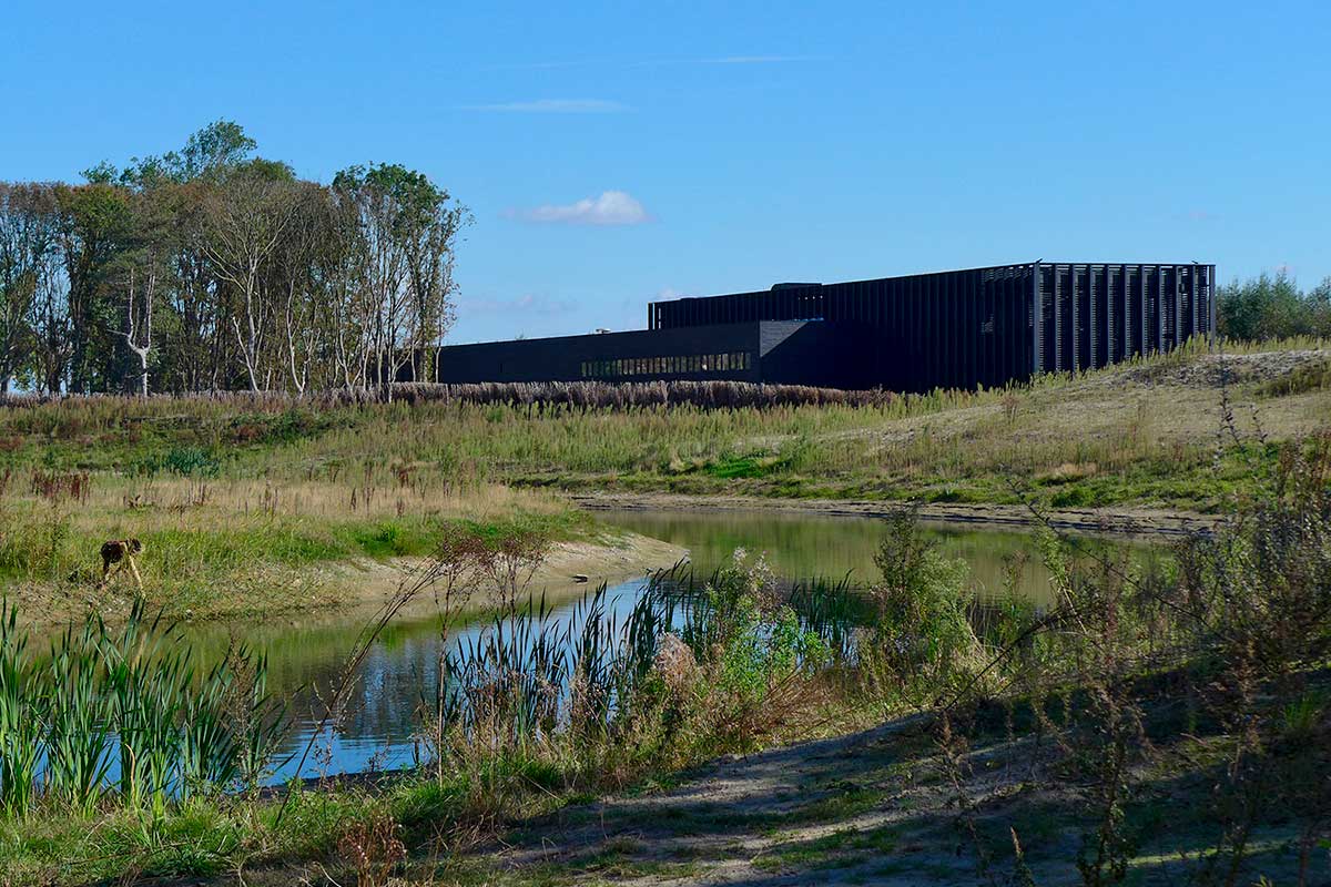 Zwin Nature Park, straddling the Belgian-Dutch border, features diverse coastal habitats, including salt marshes, mudflats, and dunes, attracting migratory birds and offering scenic trails for nature enthusiasts and birdwatchers.