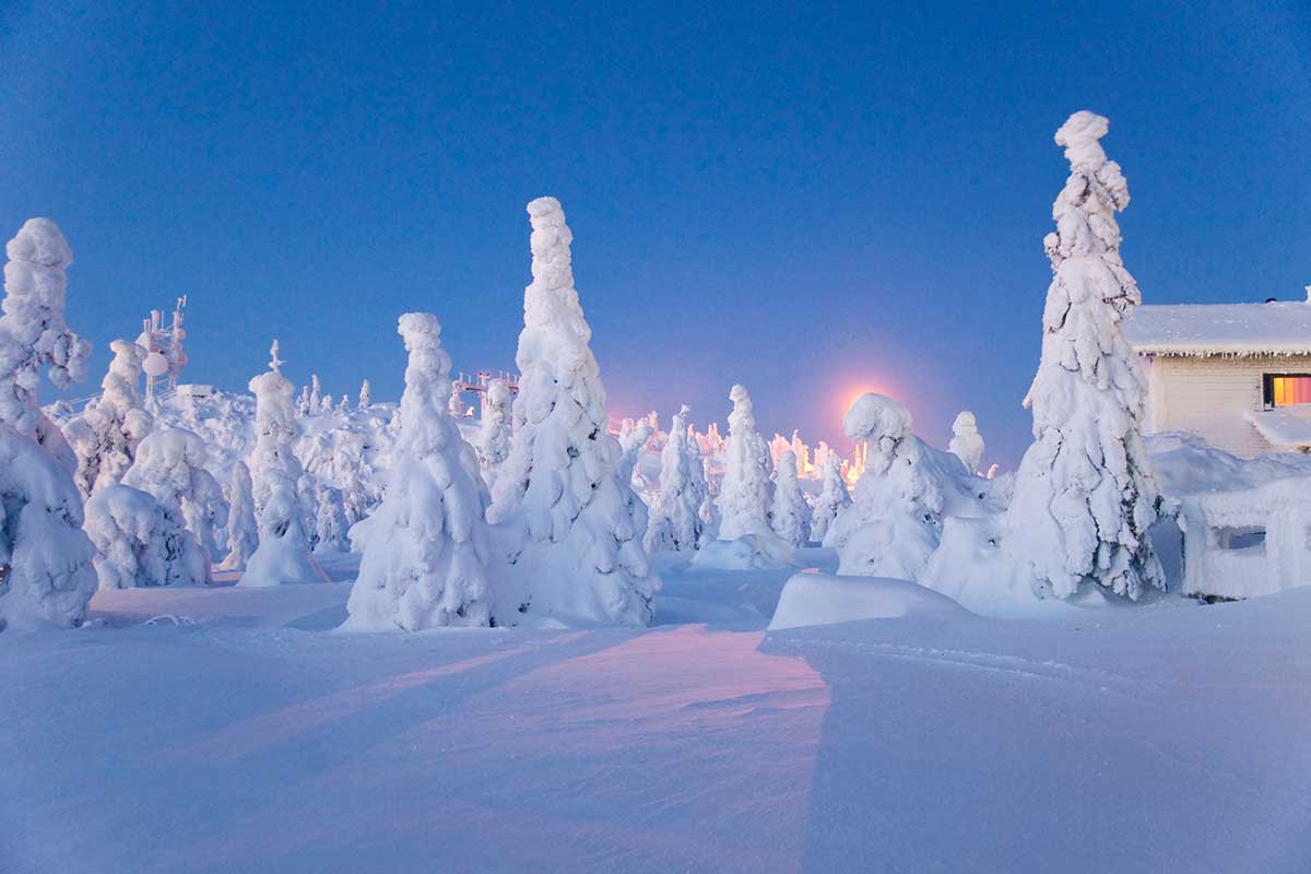Lapland in winter features snow-covered landscapes, frozen lakes, reindeer sleigh rides, and the mesmerizing Northern Lights, offering a magical Arctic experience with traditional Sami culture and outdoor winter activities.