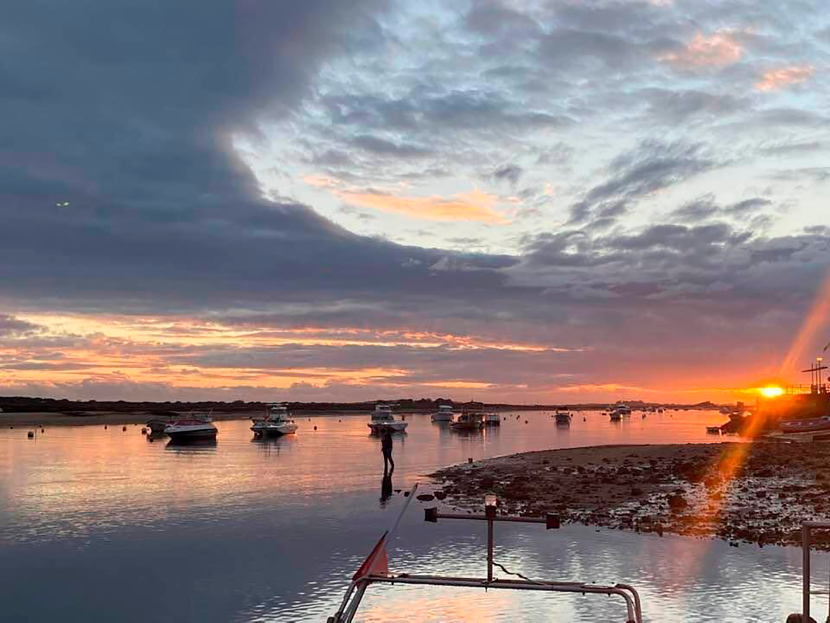 Fresh seafood dishes at Restaurante Noélia, highlighting traditional Algarve cuisine with a focus on quality ingredients.