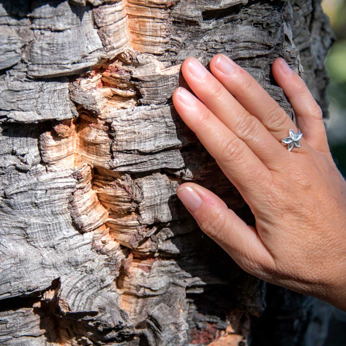 Within the cork industry, while the "Descortiçador" role is typically male, women are essential to its vitality, contributing significantly to cork processing, artisan craftsmanship, and the creation of diverse cork products, ensuring both economic and creative inclusivity.