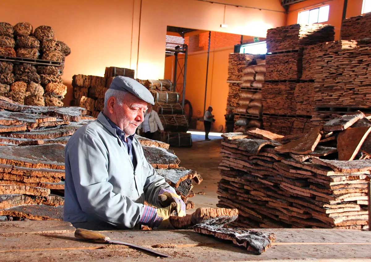 Portugal, boasting vast "Montado" landscapes and generations of skilled "Descortiçadores," stands as the world's premier cork producer, supplying approximately 50% of the global market with its high-quality, sustainably harvested cork.