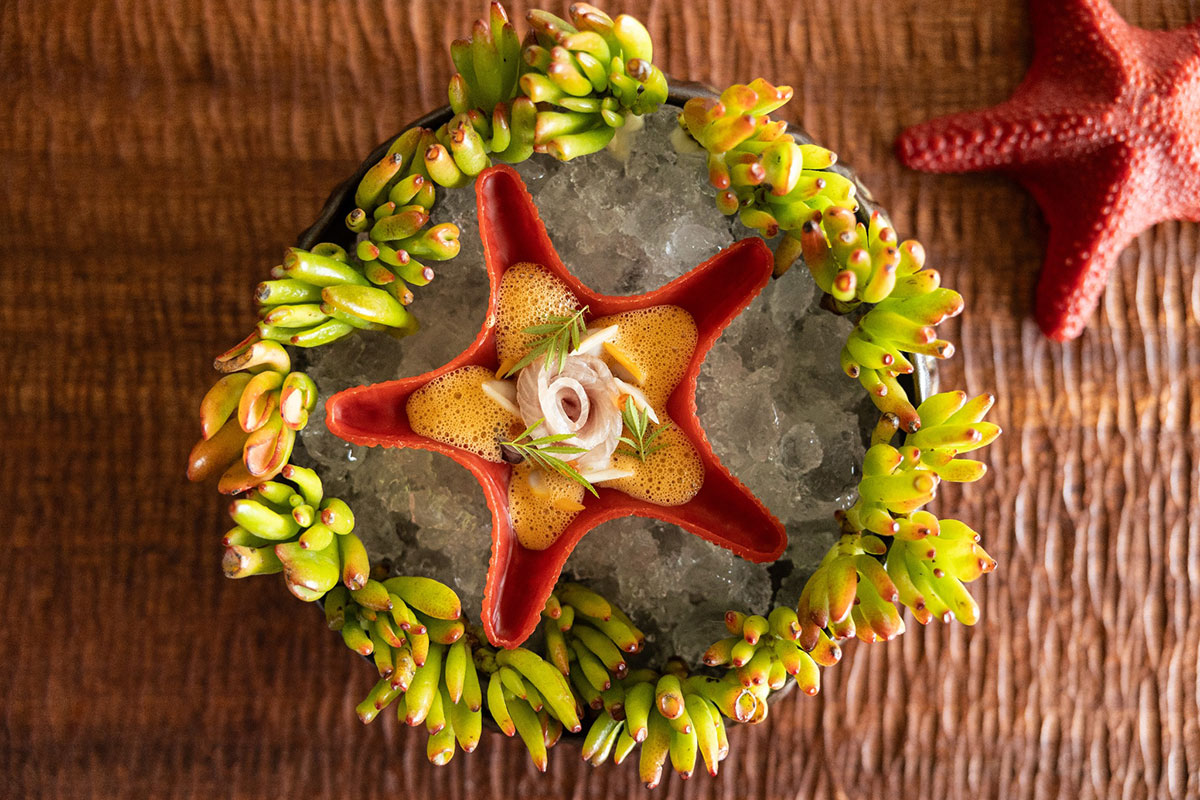 Experience the Algarve's vibrant flavors through our dishes, where treasures such as fermented honey and lime create a memorable dining journey.