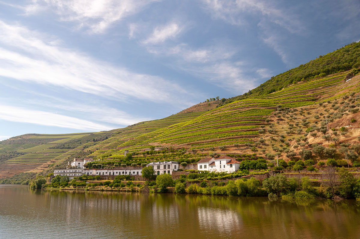A "Quinta" in the Douro Valley, a traditional wine estate, offers visitors an immersive experience into the region's rich viticultural heritage, showcasing terraced vineyards, historic cellars, and the production of world-renowned Port and Douro wines amidst breathtaking landscapes.
