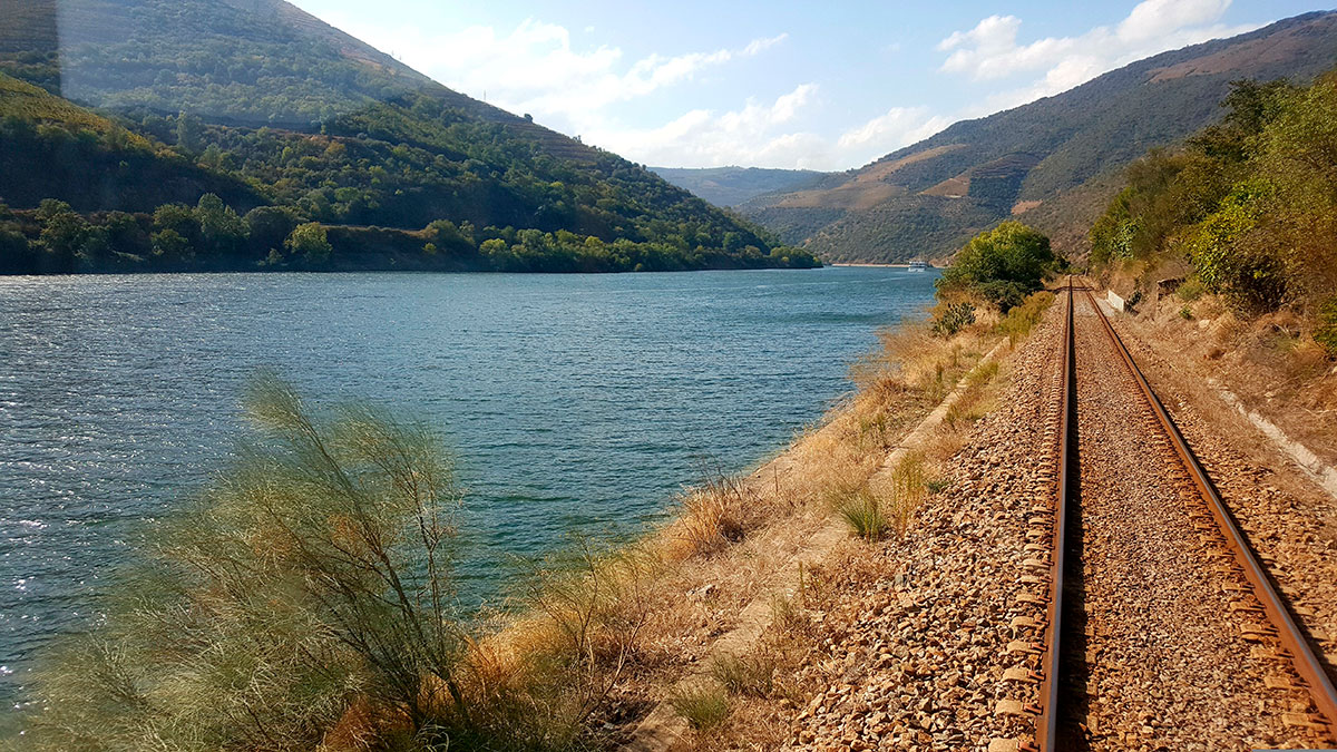 A scenic train ride through the Douro Valley offers passengers breathtaking views of terraced vineyards, quintas, and the winding Douro River, providing a relaxing and picturesque journey through Portugal's renowned wine region.