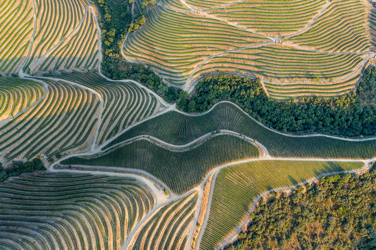 The Douro Valley, a UNESCO-listed paradise, captivates visitors with its breathtaking terraced vineyards, historic Quintas, and the winding Douro River, showcasing a unique cultural landscape shaped by centuries of Port wine production and natural beauty.