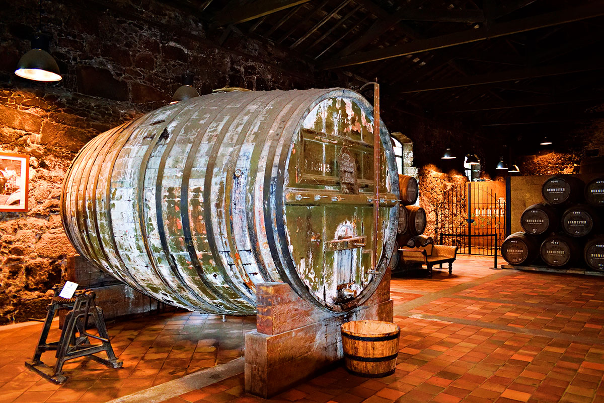 The atmosphere of Porto wine cellars features dimly lit, cool aging rooms filled with the aroma of oak barrels, showcasing the historic tradition of Port wine production in a tranquil, immersive setting.