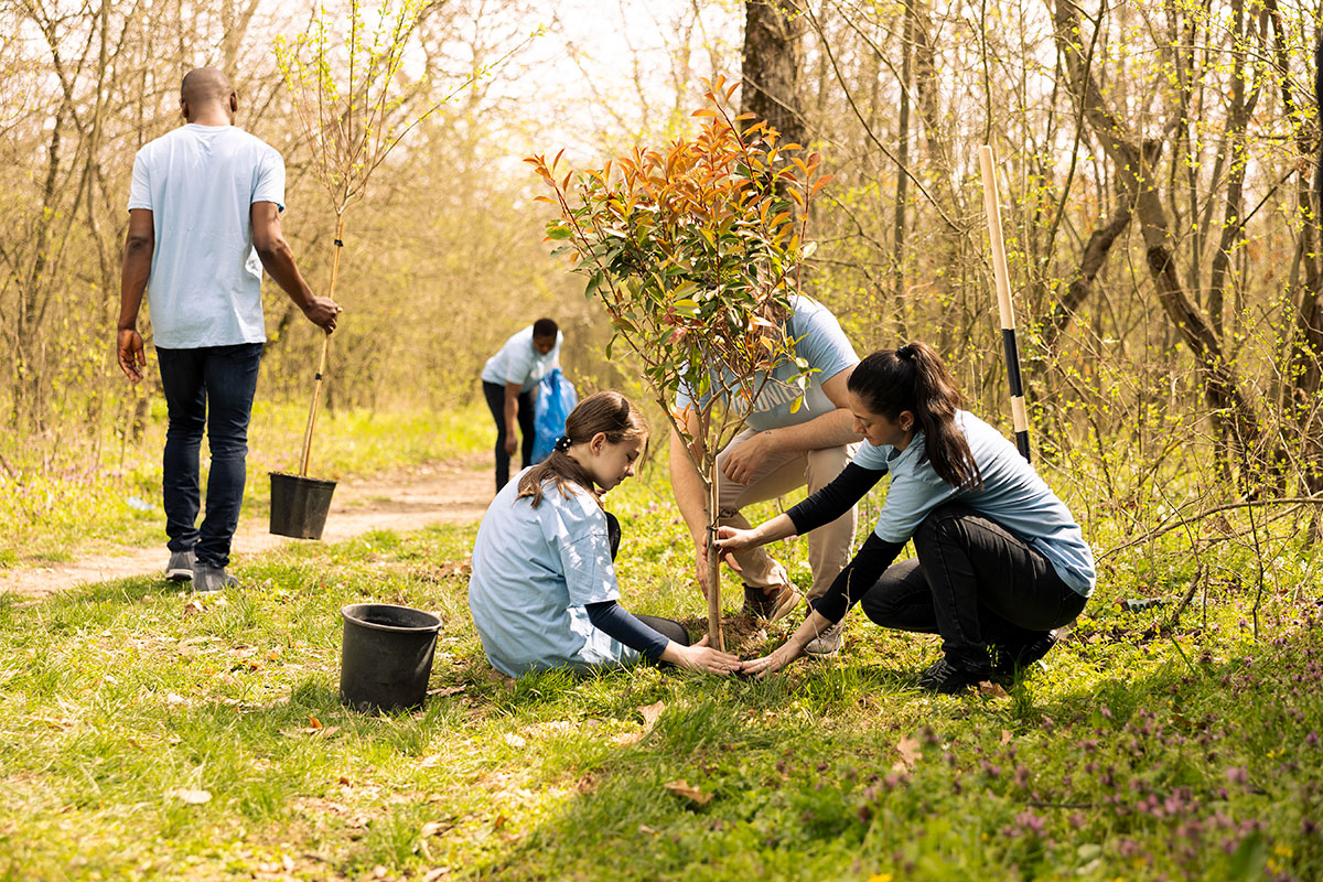A traveler participating in a conservation tourism project.