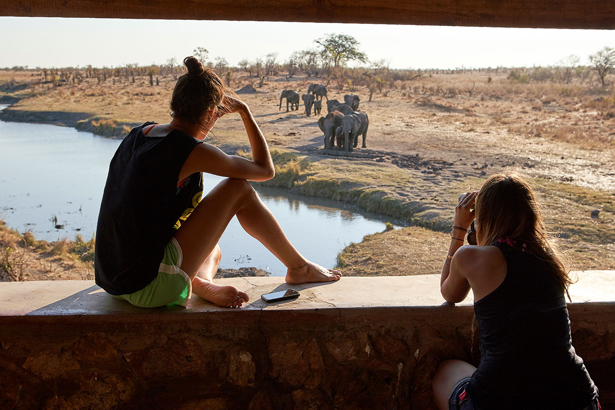 Travelers watching elephants in a responsible ethical sanctuary in Zimbabwe