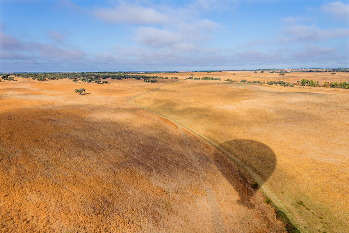 A hot air balloon floating over the golden landscapes of Alentejo at sunrise.