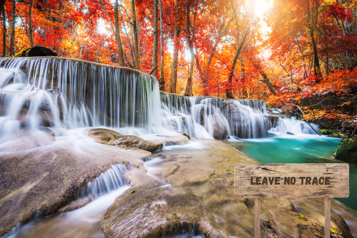 A nature reserve with a sign promoting responsible tourism and conservation.