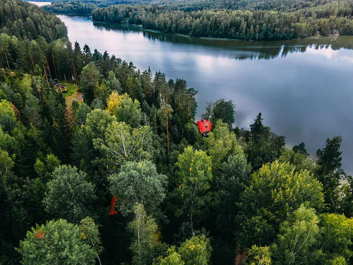A serene forest trail in Nuuksio National Park with a wooden cabin by a peaceful lake.