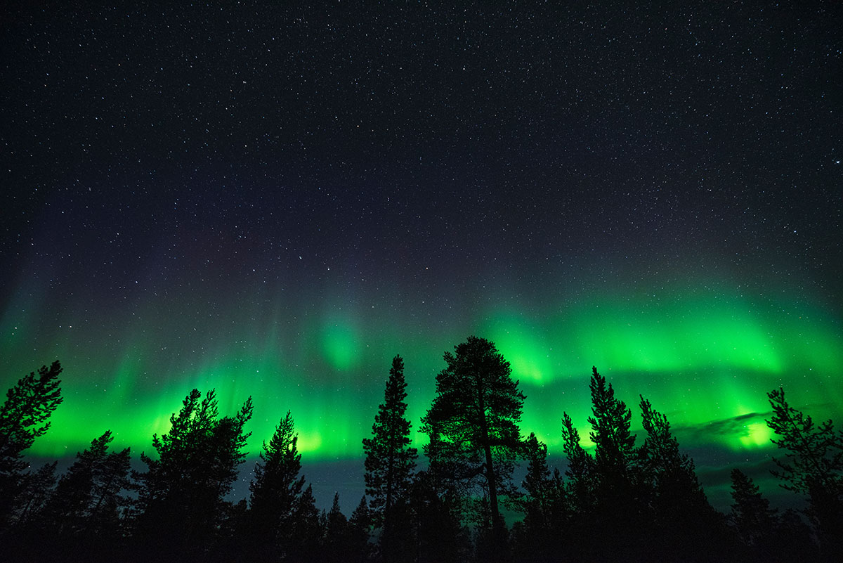 Northern Lights dancing in the Arctic sky over a snowy Lapland scene.