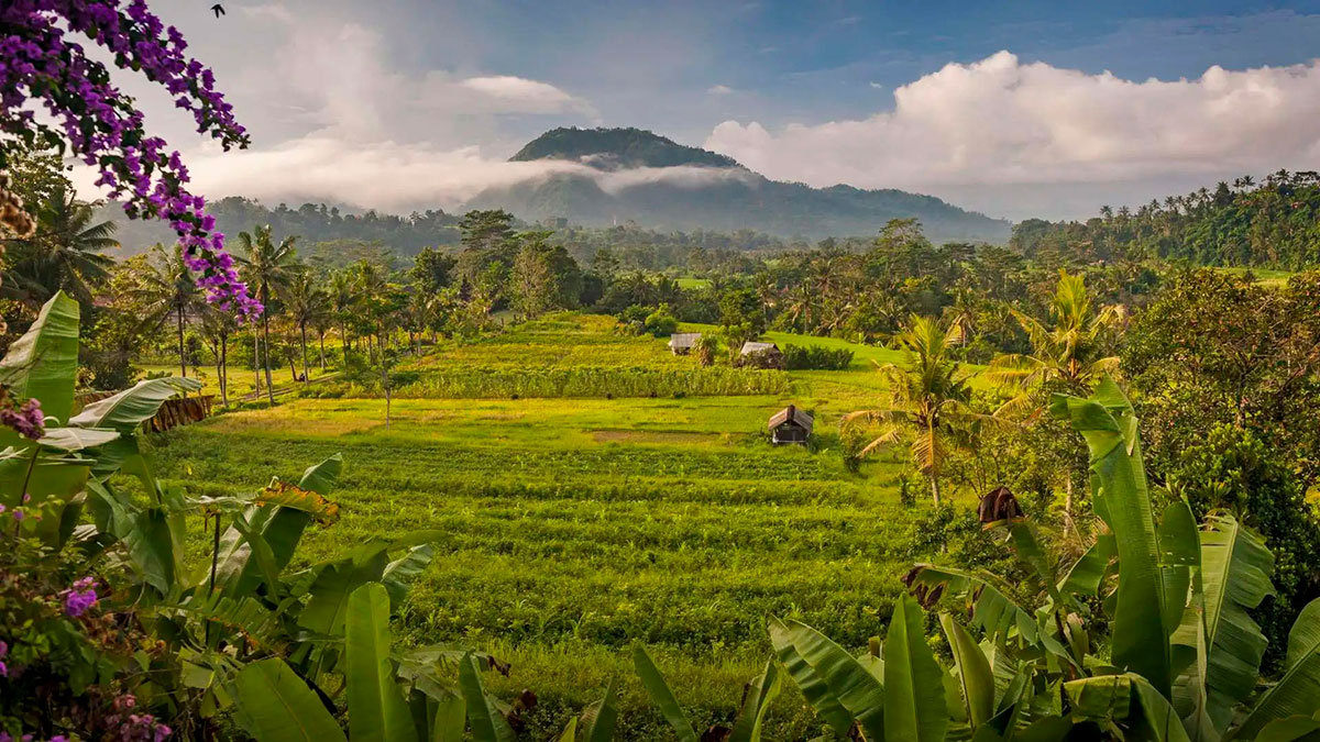 ush landscape of Sidemen Valley in Bali