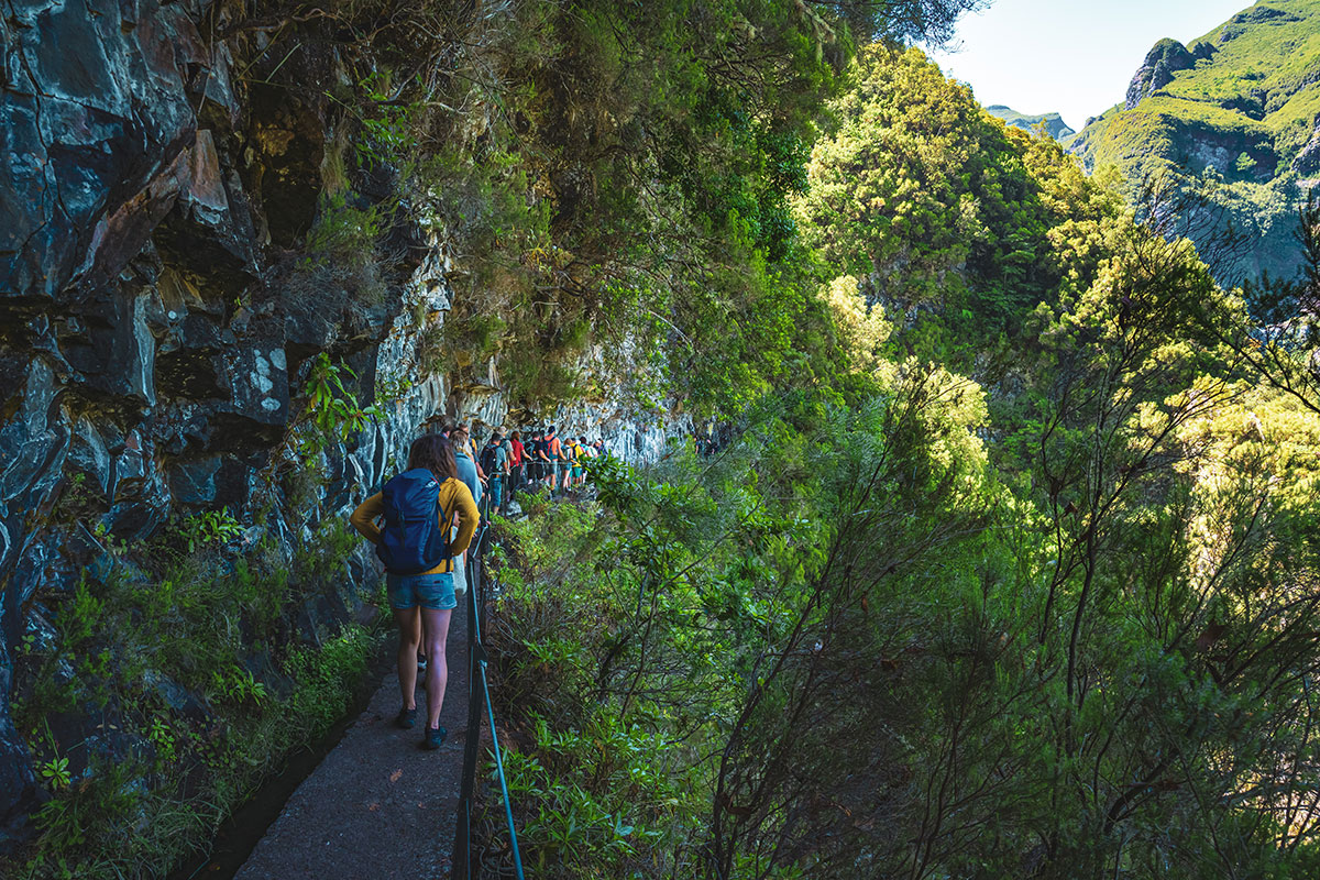 Hiker walking along a levada trail surrounded by greenery in Madeira