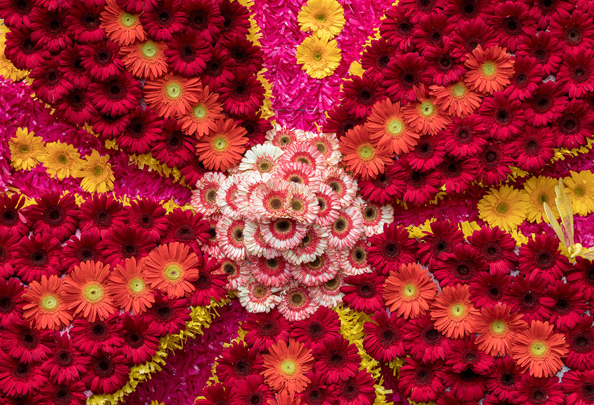 Experience vibrant culture during Madeira’s famous Flower Festival.