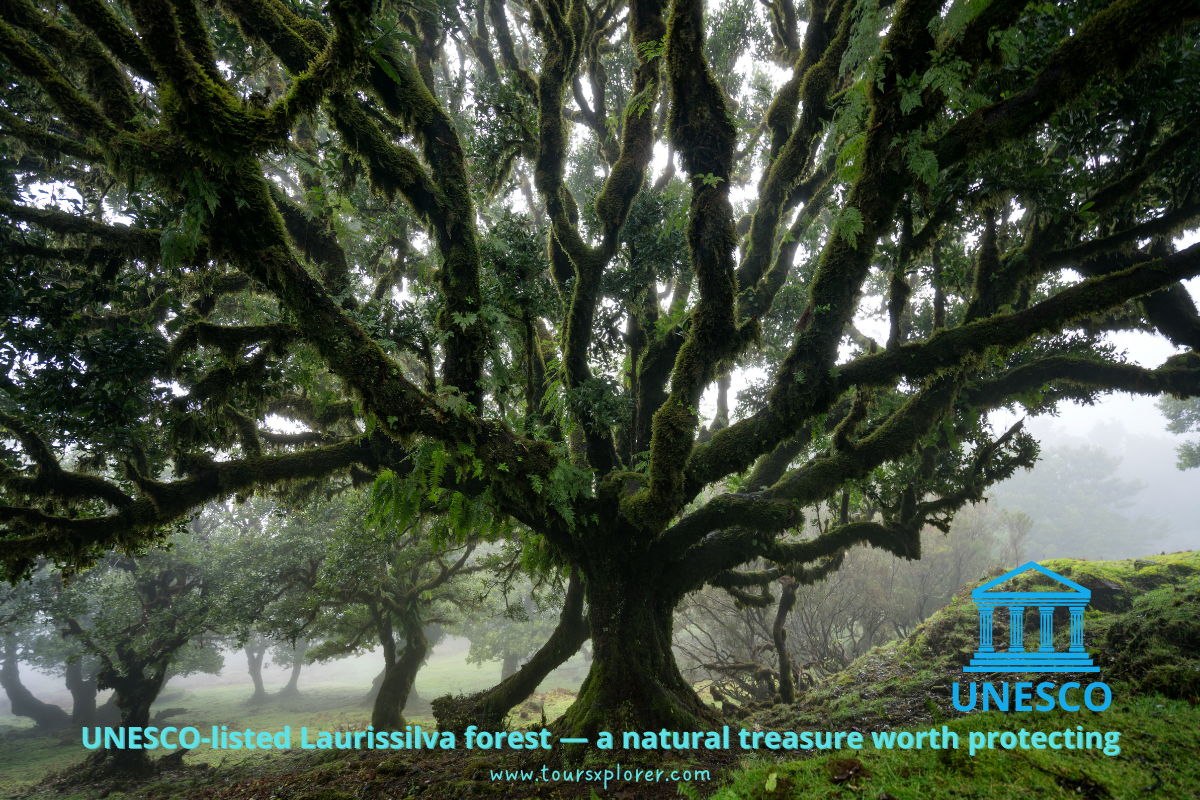 Laurissilva forest protected area sign in Madeira.