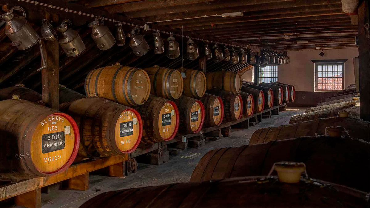 Wine barrels aging in a traditional Madeira wine cellar