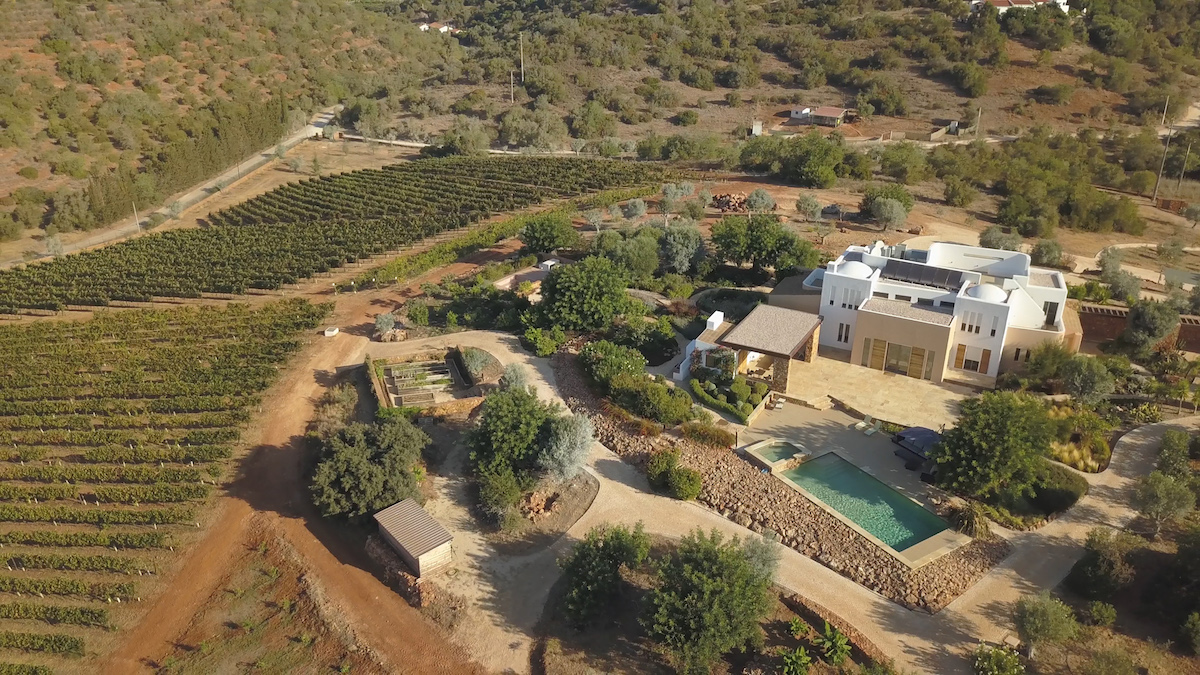 View of Quinta dos Sentidos, Algarve, showcasing organic vineyards and olive groves.
