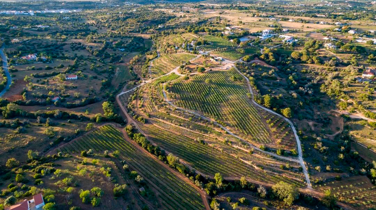 View of Quinta dos Capinhas vineyards, Algarve, showing valley location with views of Serra de Monchique and the sea.