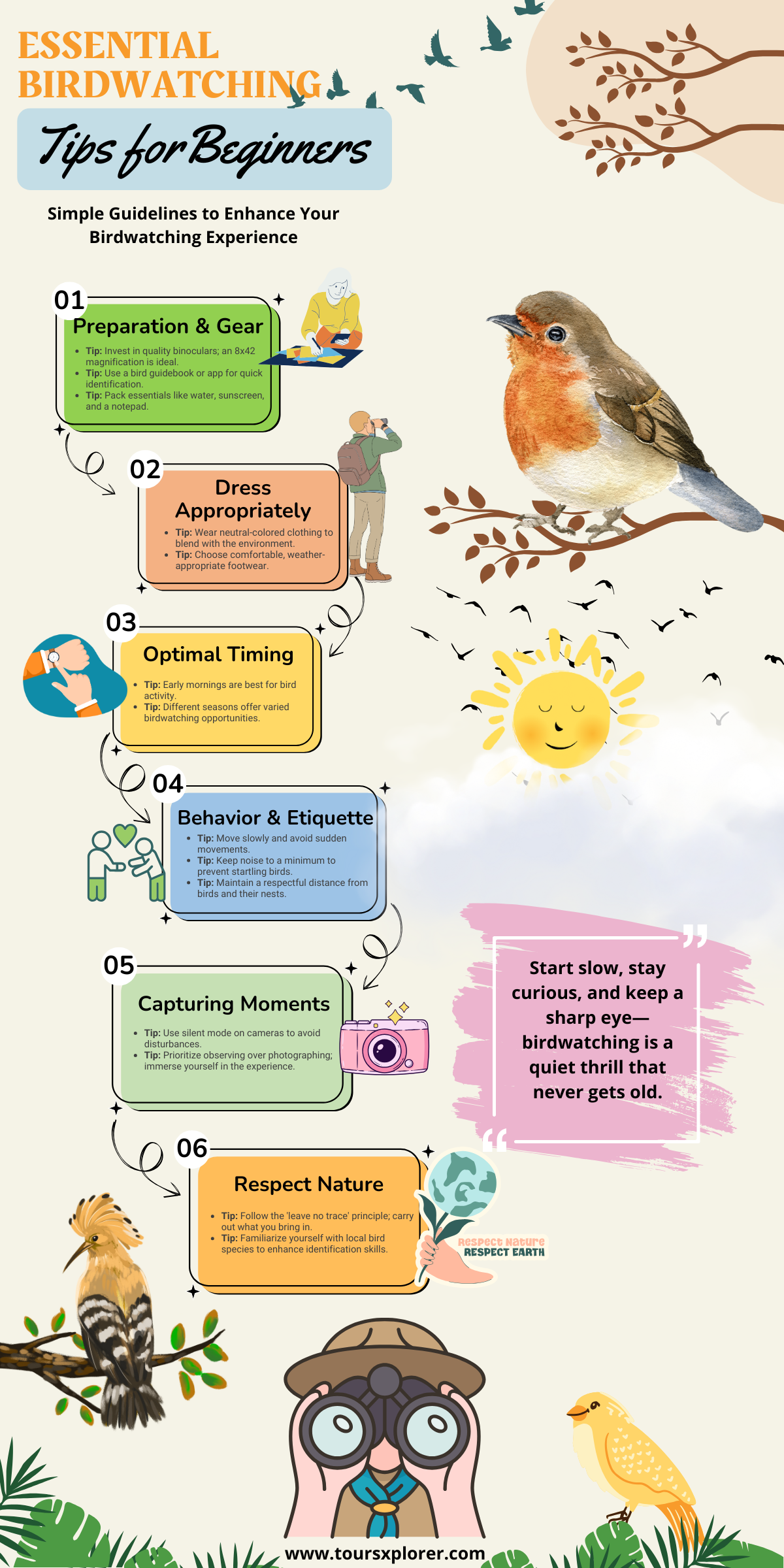 Infographic detailing top tips for novice birdwatchers.