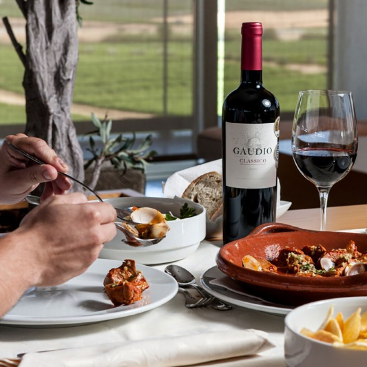 Visitors enjoying a wine tasting session at an Alentejo vineyard.