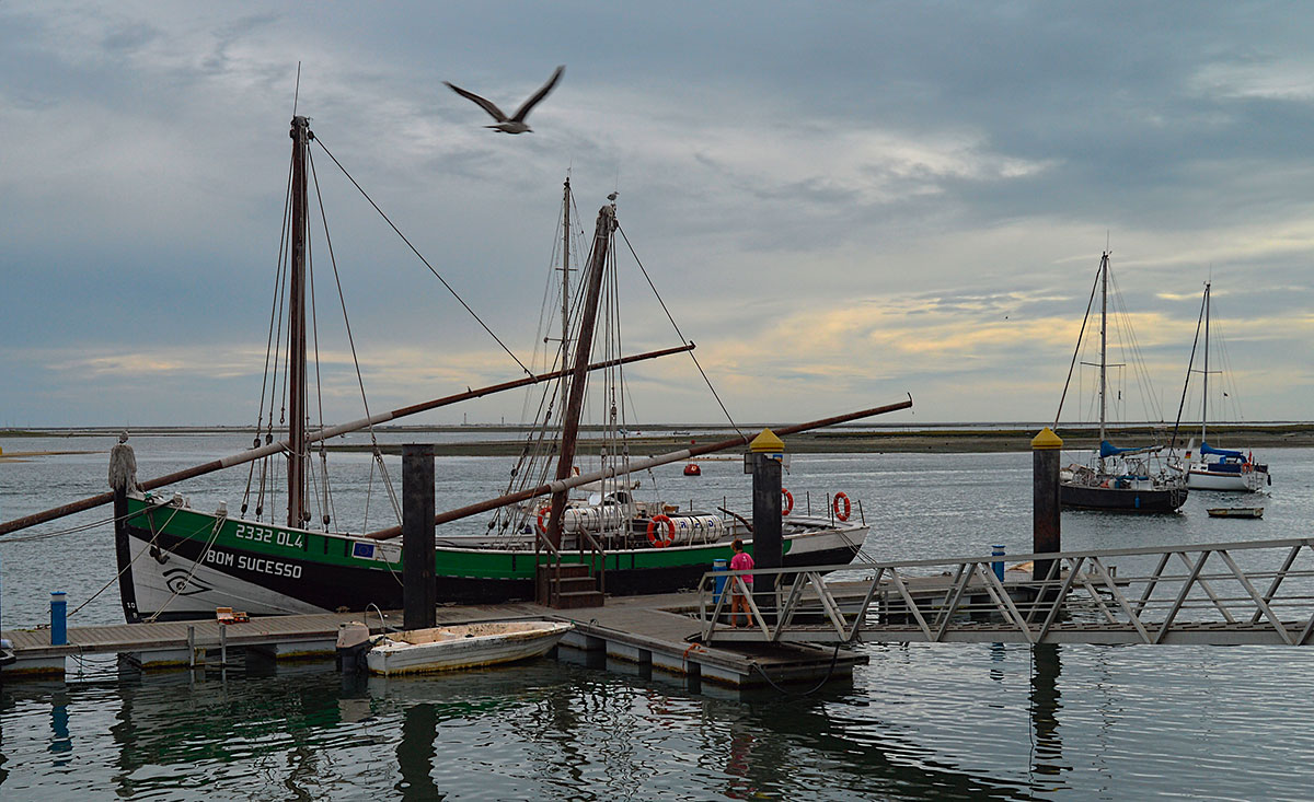 Colorful traditional fishing boats docked in Olhão harbor