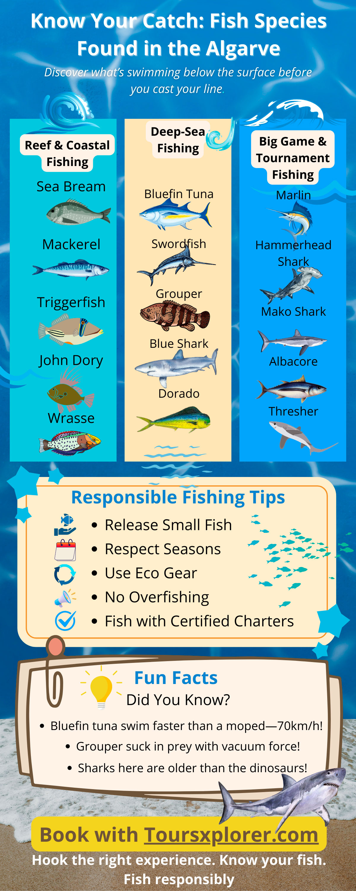 Infographic displaying various fish species found in Algarve waters