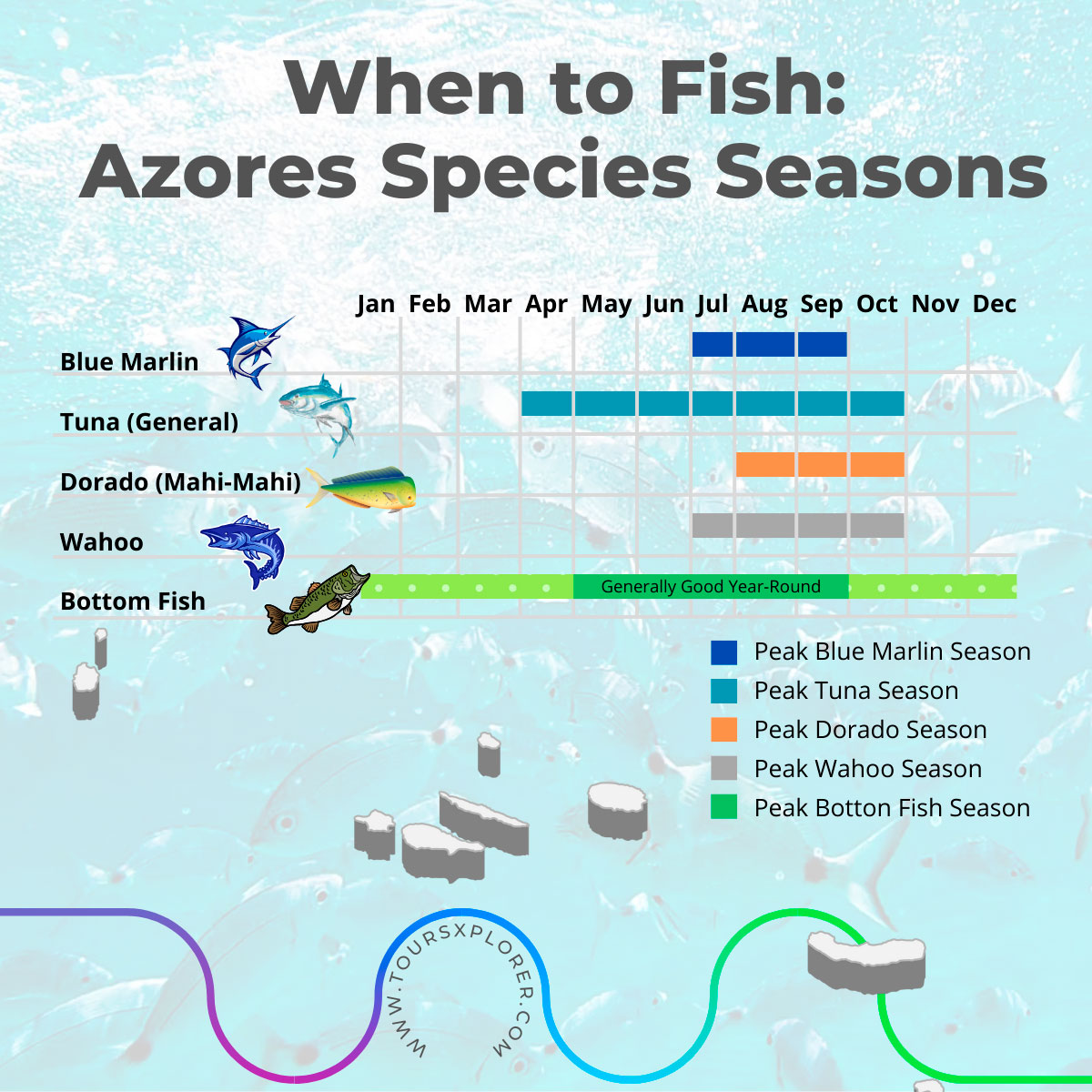 Best fishing seasons for different species in the Azores.