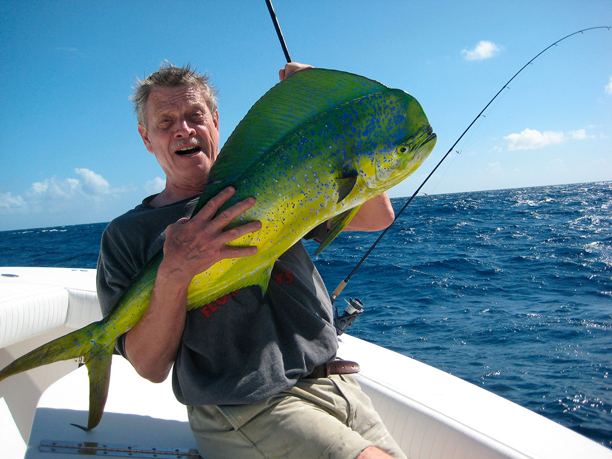 Colorful Dorado (Mahi-Mahi) caught in Azorean waters.