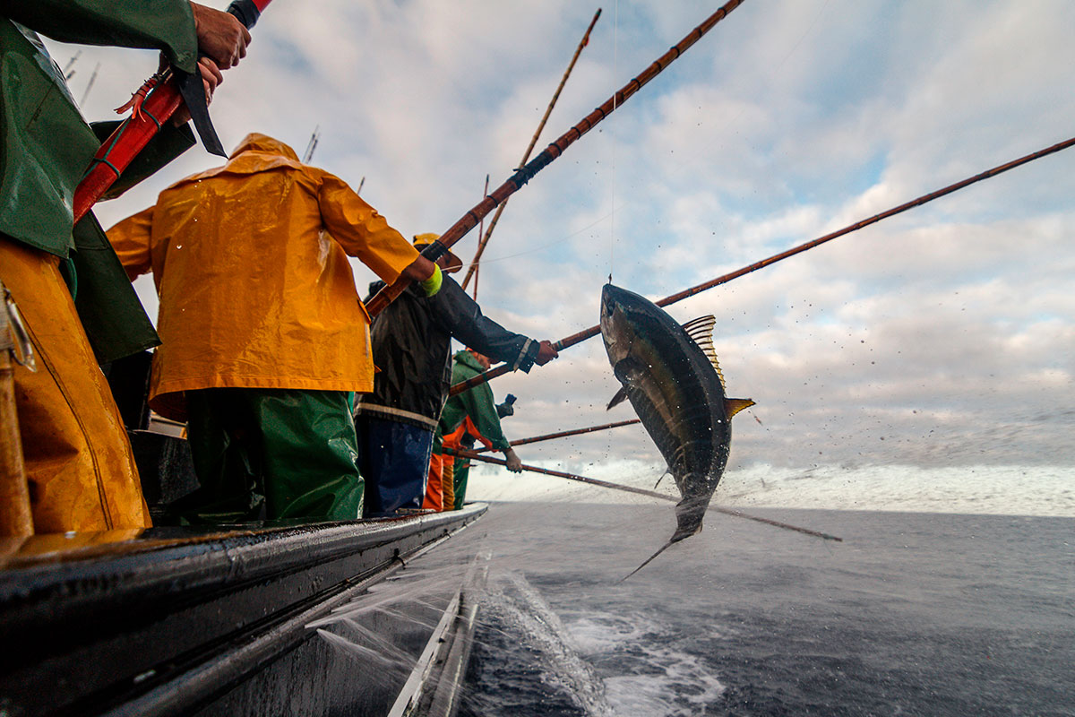 Sport fishing boat sailing near a volcanic island in the Azores.