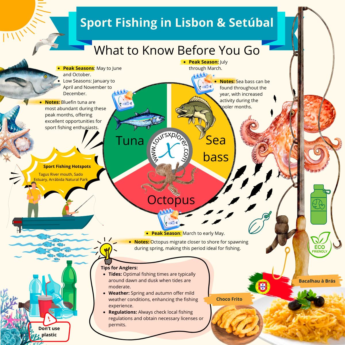 Infographic showing the best fishing seasons in Lisbon and Setúbal