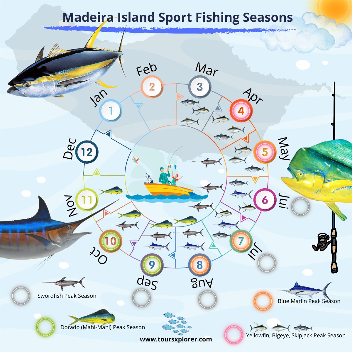 Infographic showcasing Madeira's fishing seasons and species