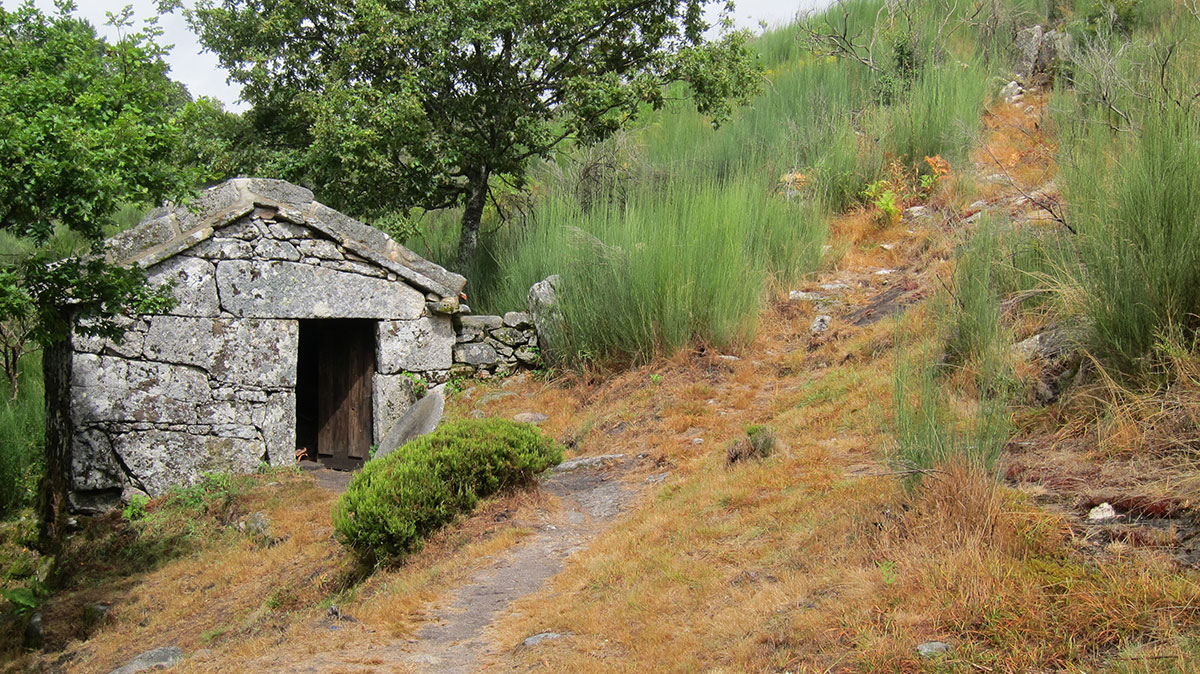 Photography in Peneda-Gerês reveals a world of natural drama and poetic light—each shot a timeless tribute to Portugal’s wild beauty.