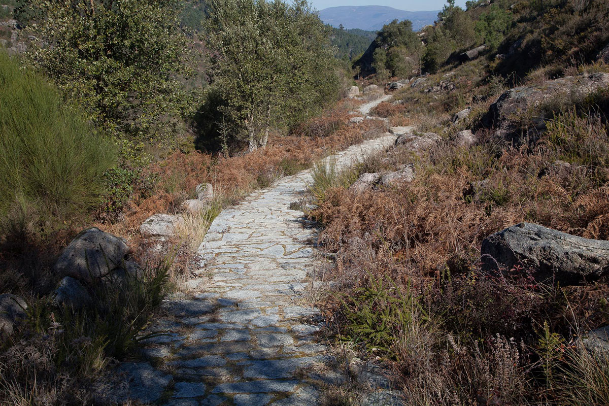 walking along an ancient stone trail surrounded by lush greenery in Peneda-Gerês National Park.