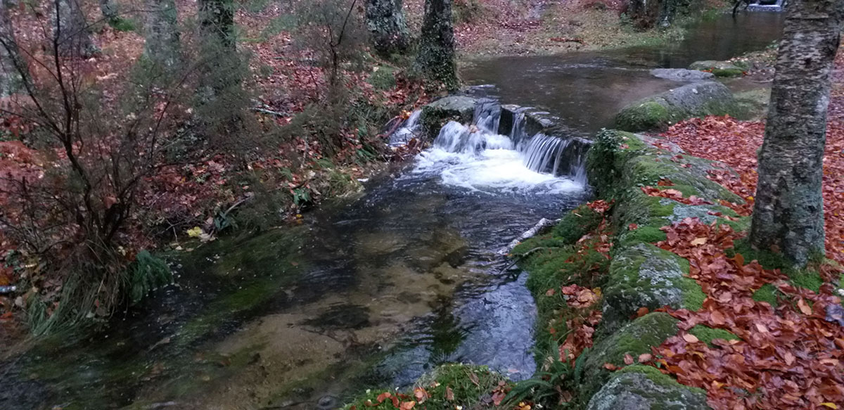 A small waterfall cascading gently over moss-covered rocks, surrounded by vibrant autumn foliage in Peneda-Gerês National Park.