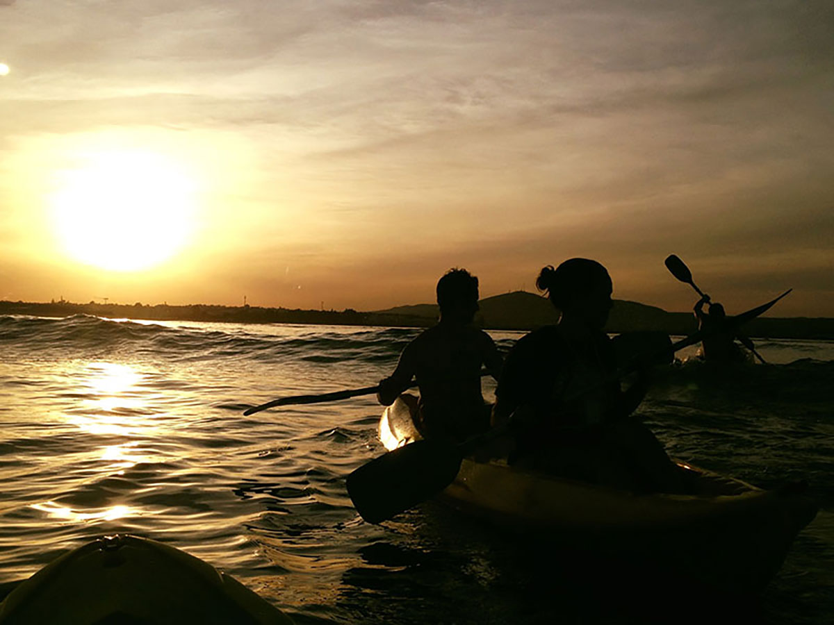A group of kayakers navigating through the calm channels of Ria Formosa Natural Park.