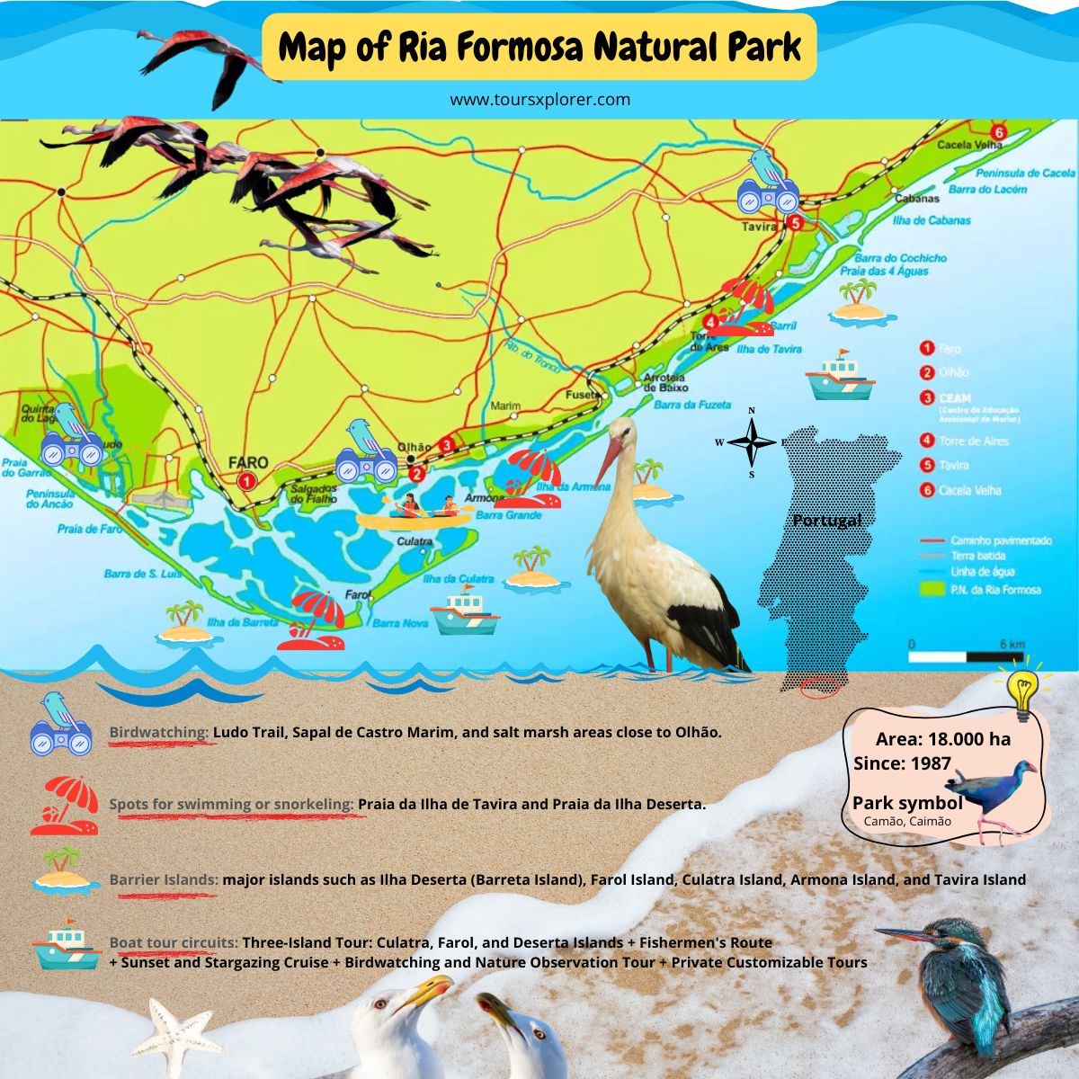 Infographic detailing the diverse species of flora and fauna found in Ria Formosa Natural Park.