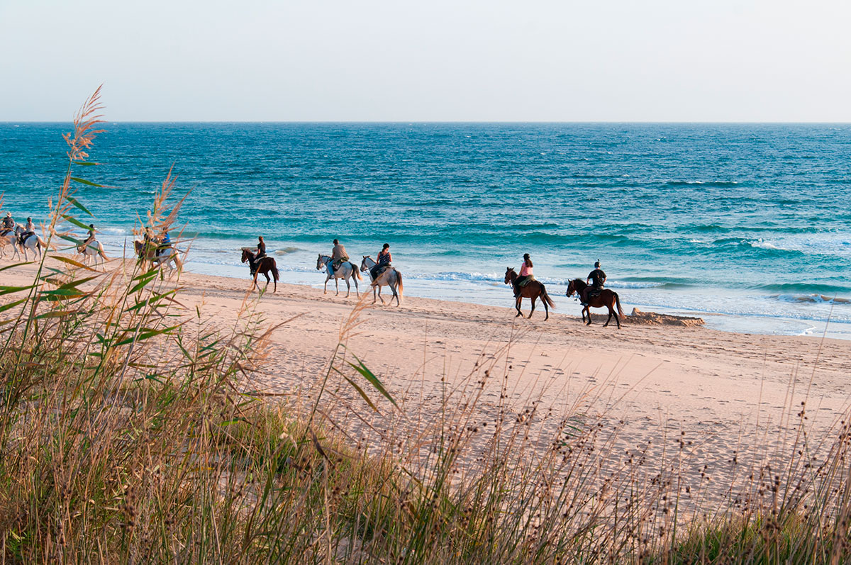 Horseback riders traversing the Ria Formosa Natural Park.