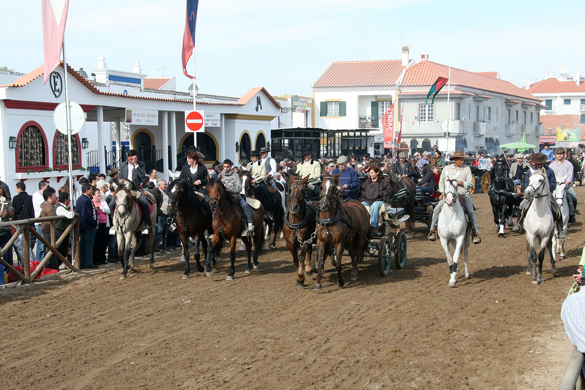 "Parade of Lusitano horses during the Golegã Horse Fair.