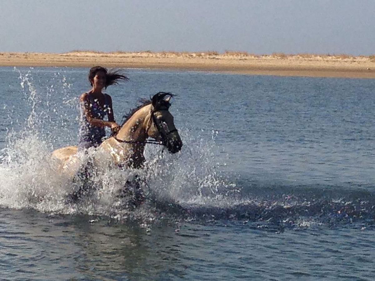 Smiling woman riding a Lusitano horse along the beach, splashing through the sea water under a bright sunny sky.