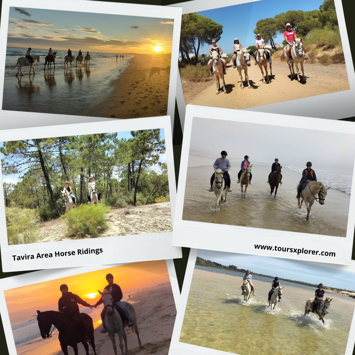 Collage of diverse horseback riding experiences in Tavira, Portugal, including beach rides, countryside trails, and riders of different ages.