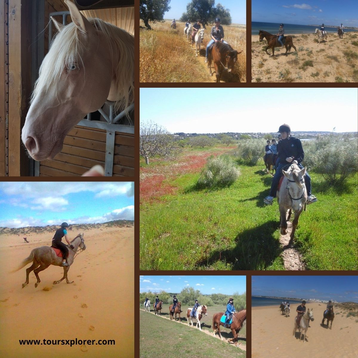 Collage showing horseback riding adventures near Lagoa dos Salgados, Algarve, with images of riders exploring trails and experiencing the natural surroundings.