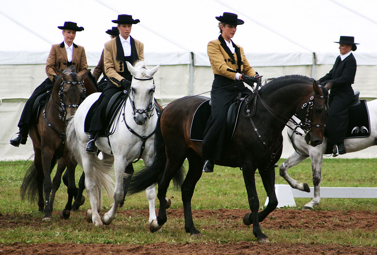 Image capturing a display of traditional horsemanship skills involving horses in the Algarve.