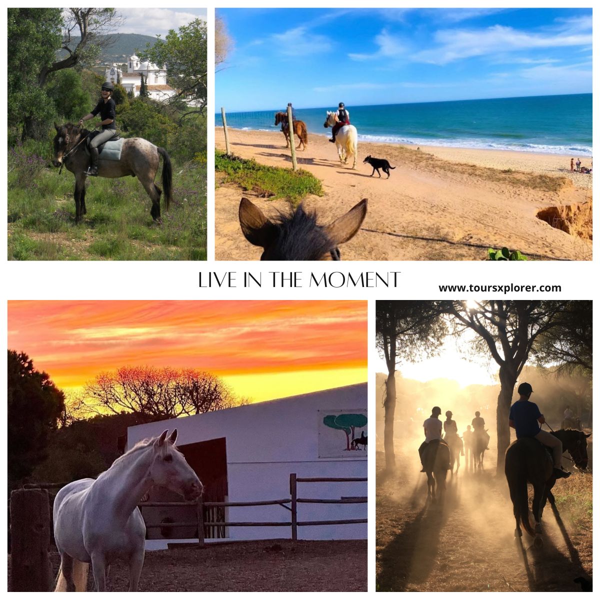 Horseback riding through the natural beauty of Quinta do Lago, Algarve, with riders on trails surrounded by greenery or near waterways.
