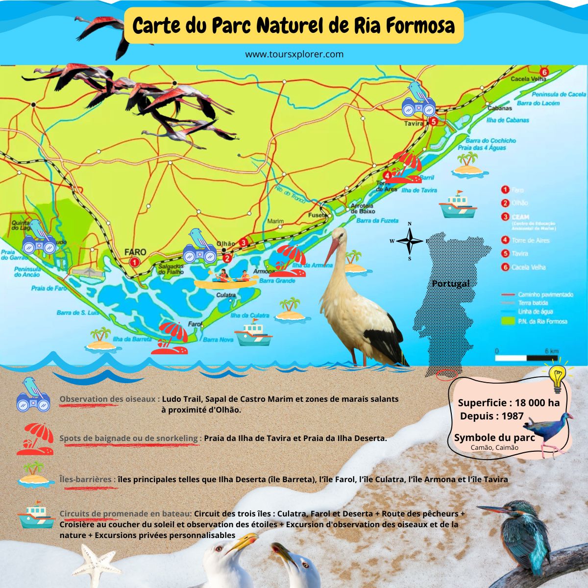 Infographie détaillant la diversité de la flore et de la faune du parc naturel de Ria Formosa.