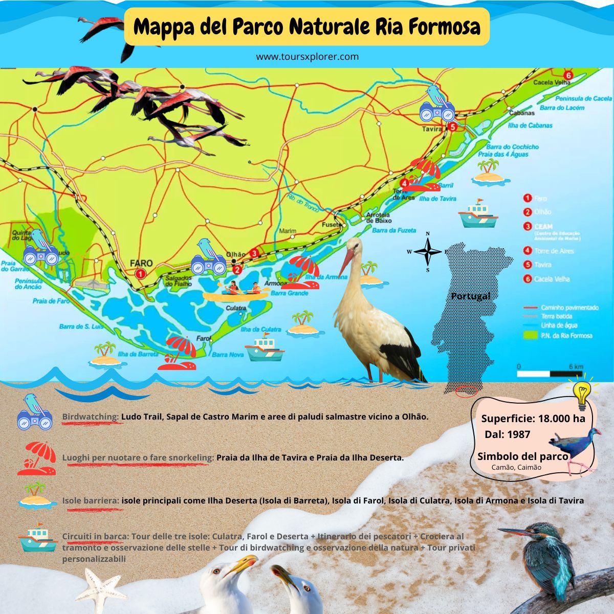 Infografica che descrive dettagliatamente le diverse specie di flora e fauna presenti nel Parco Naturale di Ria Formosa.