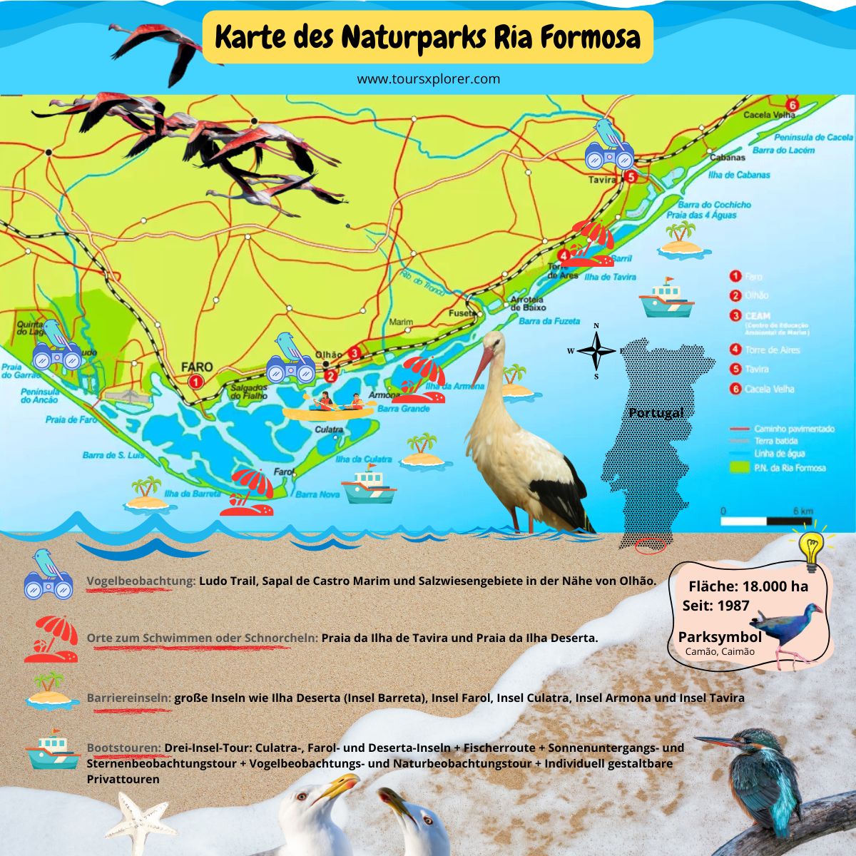 Infografik mit detaillierten Informationen zur vielfältigen Flora und Fauna des Naturparks Ria Formosa.