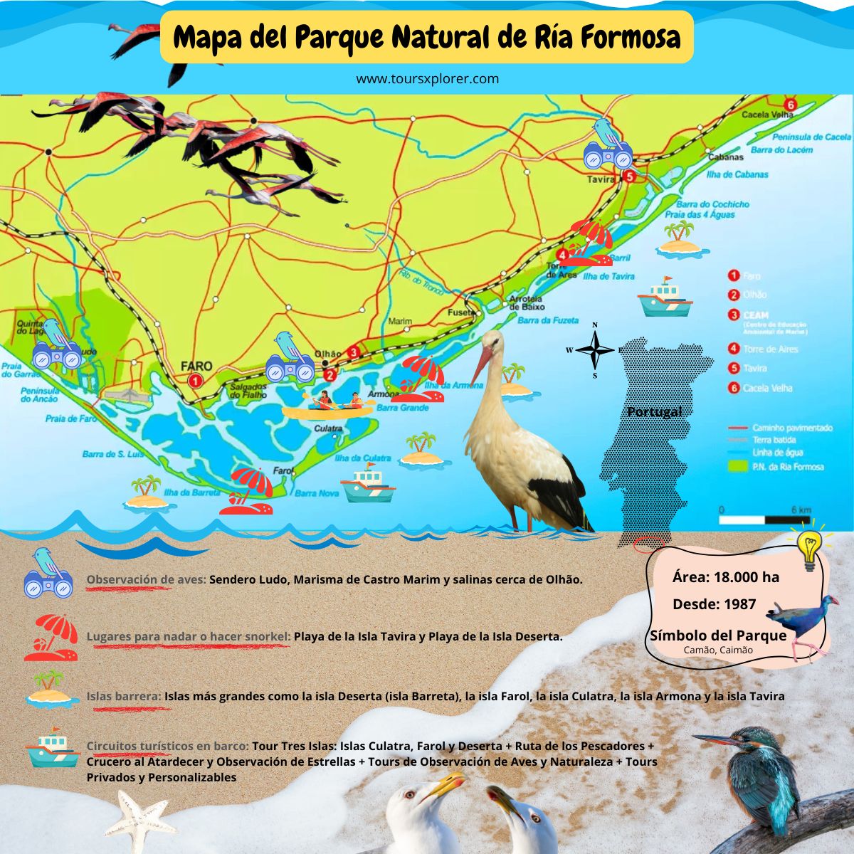 Infografía que detalla la diversidad de especies de flora y fauna presentes en el Parque Natural de Ría Formosa.